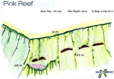 Pink Reef
